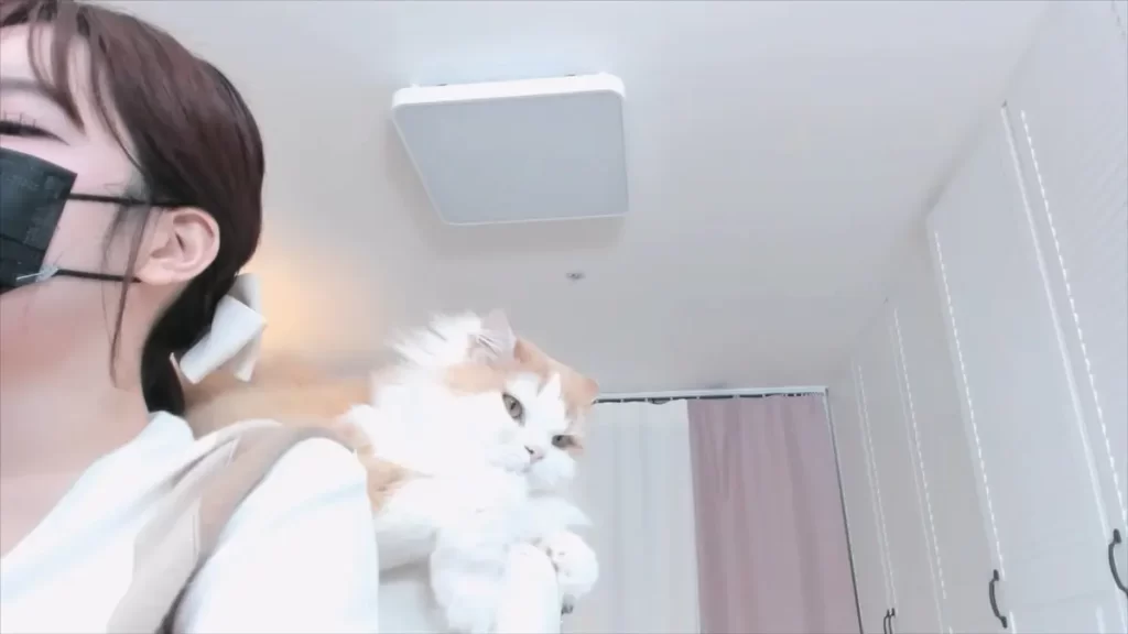 jinricp书院精品资源站